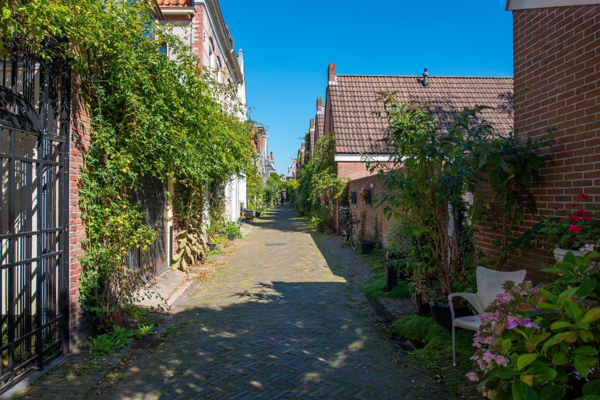 Gezellig Appartement In De Mooie Oude Binnenstad Van Alkmaar Exteriér fotografie